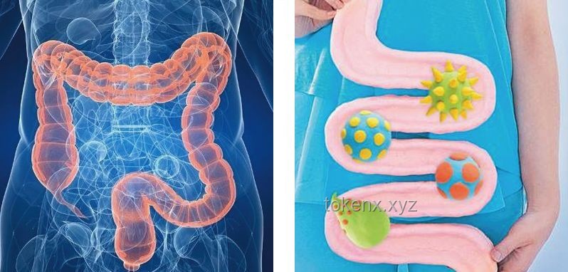 沙漏腰3.0进阶案例研究：30分钟站立无跑跳核心训练对髋灵活、胸椎灵活的提升
